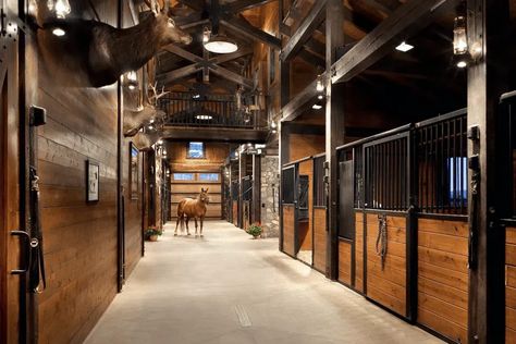 Cattle Facility, Cattle Barn, Dream Horse Barns, Dream Stables, Cattle Ranch, Barn Interior, Riding Arenas, Equestrian Facilities, Cattle Ranching