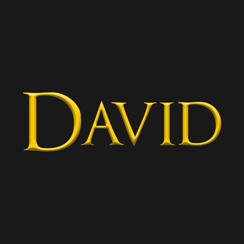 Check out this awesome 'David+Male+Name+Gold+On+Dark' design on @TeePublic! David Name, Quitting Job, Alphabet Letters Design, Dark Design, Letters Design, Hey Love, Holy Shirt, Font Names, I Quit