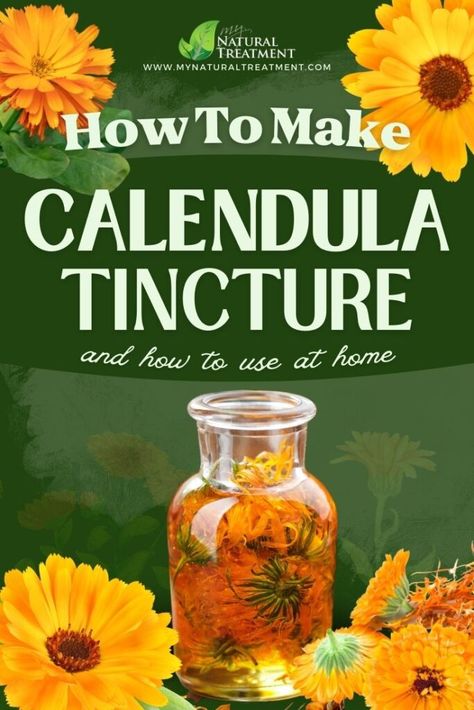 Calendula Tincture Recipes, Sleepy Time Tincture, Calendula Spell Uses, Marigold Tincture Diy, Mugwort Tincture Recipe, Ginger Tincture Recipe, Golden Rod Tincture, Dried Marigold Uses, Mullen Tincture Recipe