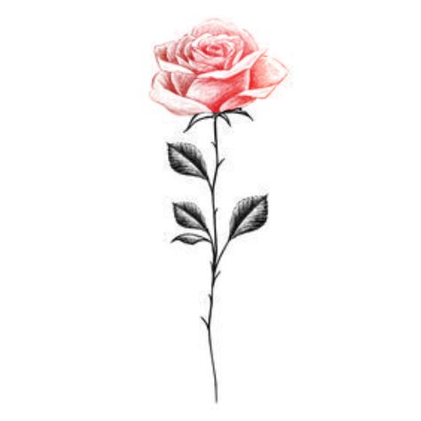 Small Shoulder Rose Tattoos For Women, Long Stem Rose Tattoo, Rose With Stem Tattoo, 3 Roses Tattoo, Rose Stem Tattoo, Rose Tat, Little Rose Tattoos, Wrist Tattoos Girls, Single Rose Tattoos