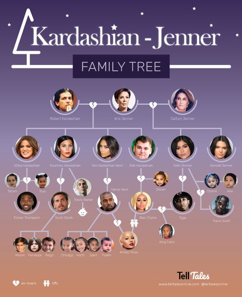 The Krazy Kardashian & Jenner Family Tree - Explained! The Kardashians Aesthetic, Kardashian Family Tree, Family Tree Explained, Kardashian Jenner Family, Kardashians Jenner, Kardashian Kylie Jenner, Pretty Redhead, Robert Kardashian, Jenner Family