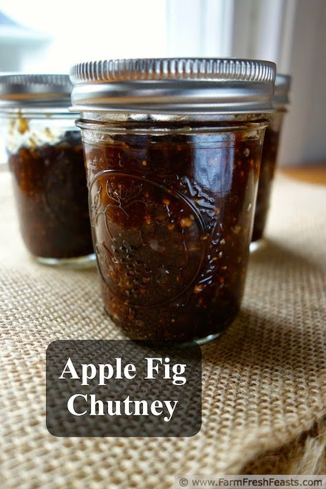 17 of the Most Unique and Unusual, But Tastebud Worthy Canning Recipes To Try This Year Fig Chutney, Apple Chutney, Fig Recipes, Chutney Recipe, Jam And Jelly, Jams And Jellies, Fresh Figs, Thanksgiving Side, Chutney Recipes