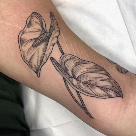 2,255 Likes, 11 Comments - Cloey (@inkbrambles) on Instagram: “Anthurium. Start of a collection of Hawaiian plants. Thank you, Sierra! @blackoaktattoo #blackink…” Anthurium Tattoo, Flor Tattoo, Abstract Tattoo Ideas, Hawaiian Plants, Anthurium Flower, C Tattoo, Leg Tattoos Women, Temporary Tattoo Designs, Black Ink Tattoos