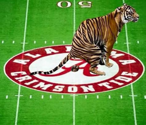 bama is worse than tiger crap Lsu Vs Bama, Beat The Tigers Football Signs, Lsu Tigers Football Wallpaper, Lsu Tigers Art, Lsu Tiger Girls, Lsu Vs Bama Memes, Trevor Lawrence, Auburn Tigers Football, Alabama Memes