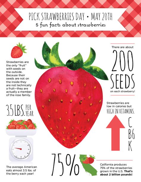 Fun Facts About Strawberries, Fruit Infographic Design, Fruit Infographic, Strawberry Facts, Cream Images, Fruit Facts, Ice Cream Images, Fruit Sketch, Infographic Examples