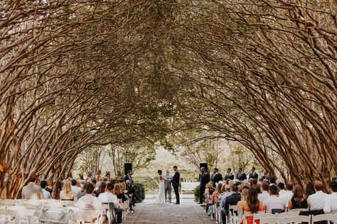 Dallas Arboretum Wedding, Arboretum Wedding, Dallas Wedding Venues, Dallas Arboretum, Garden Venue, Lounge Style, Botanical Gardens Wedding, Dfw Wedding, Make Your Dreams Come True