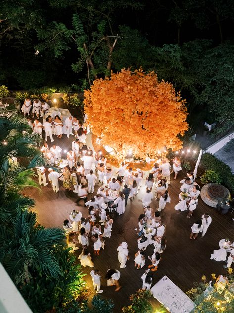 Puerta Vallarta Wedding, Puerto Vallarta Wedding Venues, Garza Blanca Puerto Vallarta, Monochromatic Wedding, Mexico Wedding Venue, Puerto Vallarta Wedding, Destination Wedding Reception, White Weddings Reception, Garden Venue