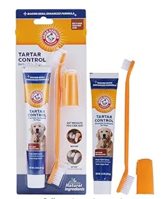 Arm & Hammer for Pets Tartar Control Kit for Dogs | Contains Toothpaste, Toothbrush & Fingerbrush | Reduces Plaque & Tartar Buildup | Safe for Puppies, 3-Piece , Beef Flavor
(Sold on Amazon) Bad Dog Breath, Tartar Removal, Vital Proteins Collagen Peptides, Flavored Toothpaste, Dog Toothpaste, Healthy Gums, Dog Grooming Supplies, Pet Supplies & Accessories, Dog Dental Care