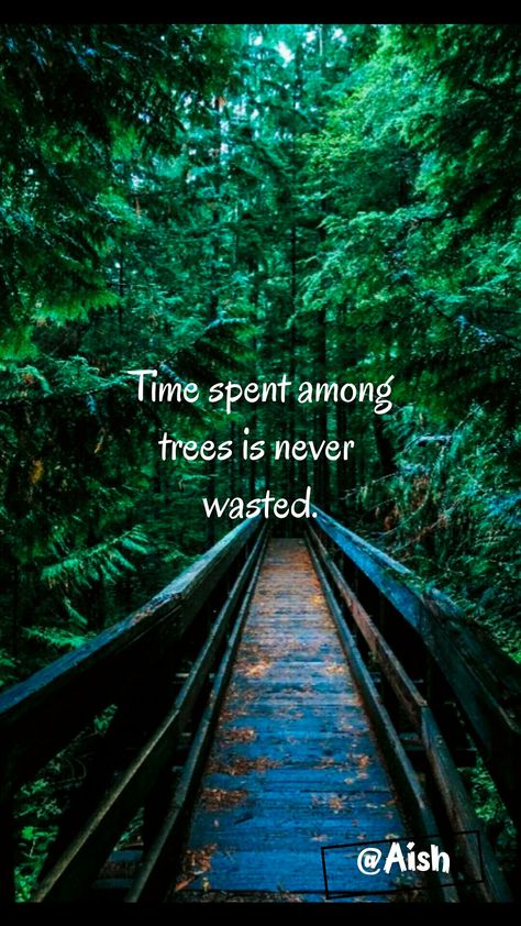 Trees Quotes Nature Thoughts, Quotes Walking, Caribbean Artists, Quotes From Instagram, Quotes About Hiking, Funny Hiking Quotes, Nature Quotes Beautiful, Walking Quotes, Mother Nature Quotes