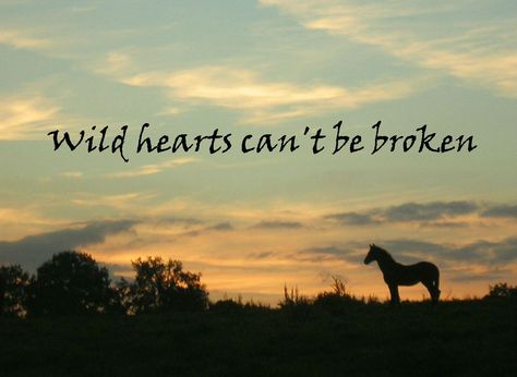 Wild hearts can't be broken Broken Movie, Class Art Projects, Movie Tattoo, Movie Pins, Horse Quotes, Painted Pumpkins, Wild Hearts, Powerful Words, Beautiful Horses