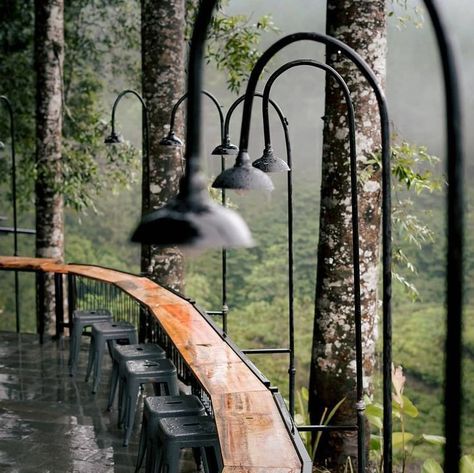 Coffee Shop In The Forest, Cafe Forest Design, Forest Cafe, Outdoor Restaurant Design, Cool Tree Houses, Desain Lanskap, Rest House, Studio Foto, Kampot