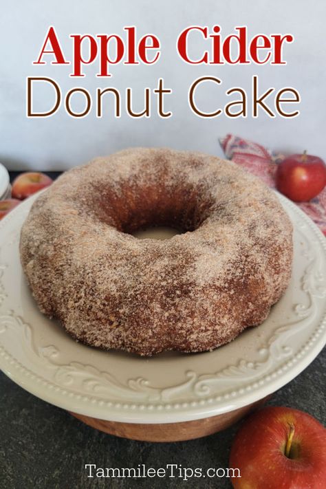 Apple Cider Donut Bundt Cake, Easy Cake Mix Recipes, Apple Cider Donut Cake, Cider Donut Cake, 40 Cake, Easy Delicious Cakes, Bundt Recipes, Moist Yellow Cakes, Donut Cake