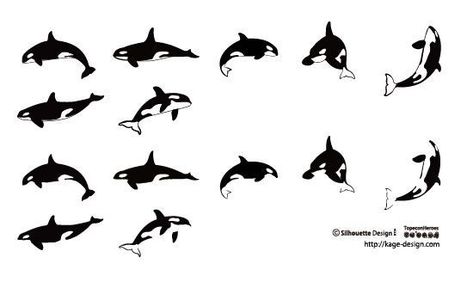 Orca Tattoo Design, Orca Whale Tattoo, Killer Whale Tattoo, Hai Tattoo, Orca Design, Orca Art, Orca Tattoo, Tatuagem Masculina Pequena, Whale Tattoo