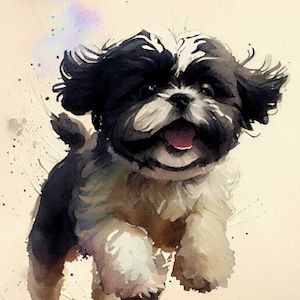 SHIH TZU Art Print by Watercolor Artist DJ Rogers | Etsy Shih Tzu Dog, Illustration Wall Art, Outline Art, Watercolor Dog, Watercolor Artist, Happy Dogs, Chrysanthemum, Shih Tzu, Dog Art