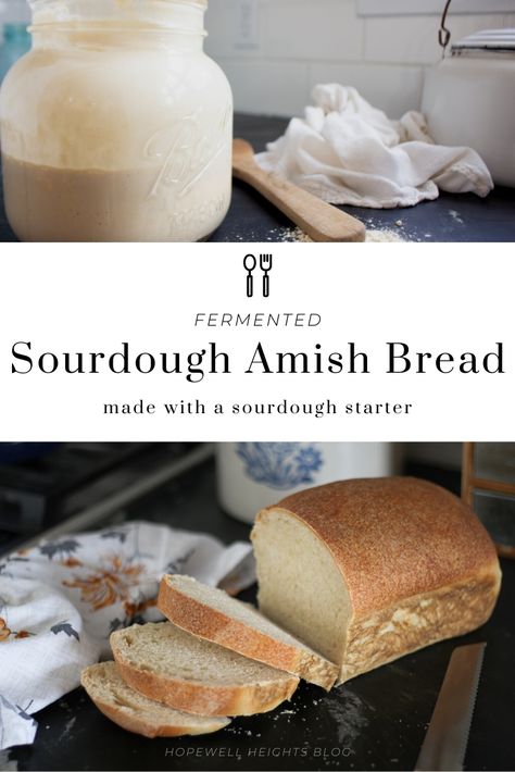 Long Fermented Sourdough Bread, Amish Sourdough Bread Recipe, Amish Starter, Hopewell Heights, Ancestral Eating, Sourdough Sandwich Loaf, Amish Bread Recipes, Sourdough Sandwich Bread, Recipe Using Sourdough Starter