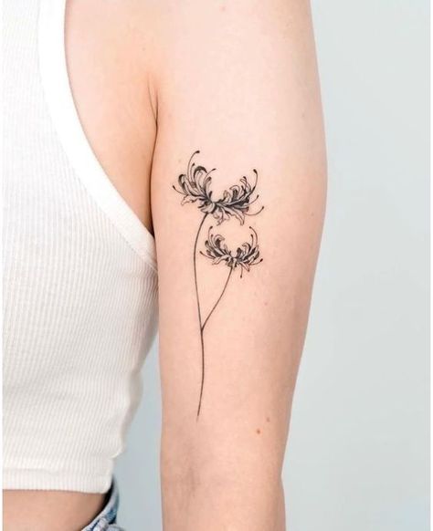 24 Mystique-Inspiring Spider Lily Tattoo Ideas To Try Spider Chrysanthemum Tattoo, Anime Flower Tattoo, Lily Tattoo Ideas, Chrysanthemum Flower Tattoo, Spider Lily Tattoo, Horoscope Virgo, Unique Tattoos For Men, App Filter, Chrysanthemum Tattoo