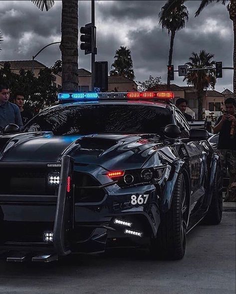 Auto Jeep, Shelby Gt 500, Super Snake, Car Racer, Audi Rs6, Exotic Sports Cars, Mustang Cars, Police Car, Lamborghini Gallardo