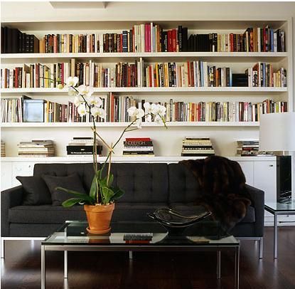 bookshelves -might look good on the the basement's back wall Library Above Sofa, Open Shelving Behind Couch, Behind Sofa Shelves, Long Shelves Above Couch, Couch With Shelf Above, Wall Mounted Shelves Behind Couch, Book Shelf Behind Sofa, Book Shelves Over Couch, Books Behind Sofa