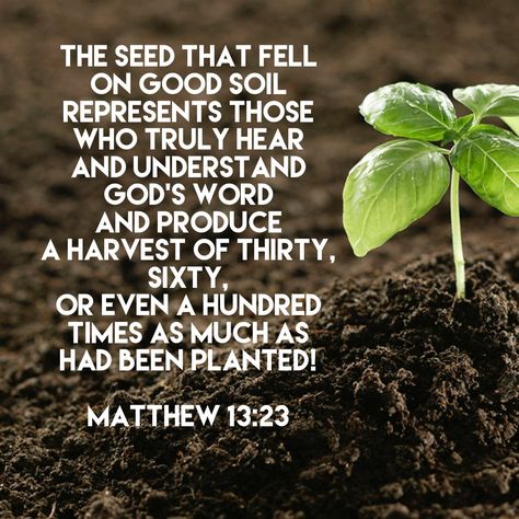 “The seed that fell on good soil represents those who truly hear and understand God’s word and produce a harvest of thirty, sixty, or even a hundred times as much as had been planted!” ‭‭Matthew‬ ‭13:23‬ Harvest Bible Verses, Lent 2024, Harvest Quotes, Harvest Bible, Matthew 13, Montessori Quotes, Jesus Second Coming, Bible Verses Kjv, Plants Quotes