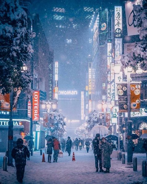 Snowboarding In Japan, Snow In Japan, Tokyo Winter, Winter In Japan, Tokyo Aesthetic, Japan Winter, Tokyo Japan Travel, Japanese Travel, Japan Guide