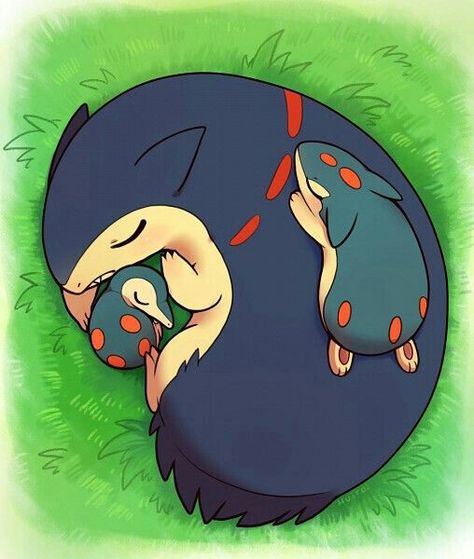 Cyndaquil, Quilava, Typhlosion, sleeping, evolution, cute; Pokemon Pokemon Family, Oc Pokemon, Sleep Time, Pokemon Pins, Cute Pokemon Pictures, Pokemon Images, Pokemon Teams, All Pokemon, Pokemon Fan Art