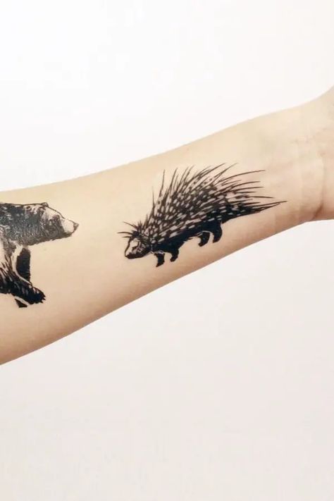 Porcupine Tattoo, Montana Tattoo, Wildlife Tattoo, African Tattoo, Symbol Of Protection, New Mens Fashion, Artistic Inspiration, A Symbol, Animal Tattoos