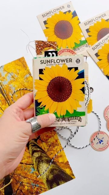 🌈✨Paper Pippi🍄🌻 on Instagram: "“September days are here, With summer's best of weather And autumn's best of cheer.” There will be a small September shop update Sunday, September 4th at 8pm edt. 🌻🌻🌻Sunflower seed packet journals, autumn ephemera collections, and more. Need a tag reminder? (You can also turn on the countdown in my stories!)" Autumn Ephemera, September Days, Sunflower Seed, Seed Packets, Cursed Child Book, Children Book Cover, Sunflower Seeds, Summer Fun, Mini Albums