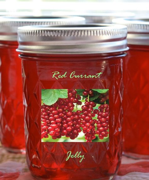 Red Currant Jelly | Cooking Mamas Currant Jelly Recipe, Red Currant Jelly Recipe, Red Currant Jelly, Currant Recipes, Currant Jelly, Roast Lamb, Lamb Roast, Savory Dishes, Jam And Jelly