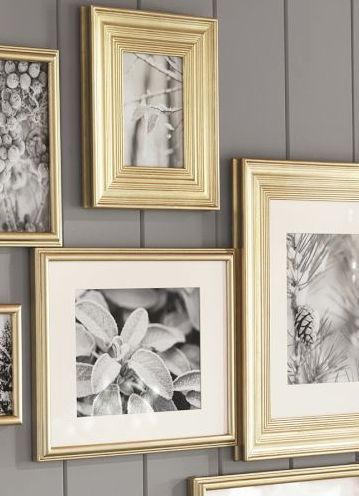 Spray painted Gold frames with Black and white photos on a grey wall. YES please! Display Family Photos, White Frames, Gold Frames, A Frame Cabin, Gold Decor, Picture Frame Wall, Grey Walls, Decoration Christmas, Grey And Gold