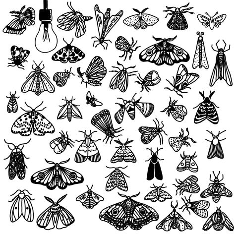 Insect Patchwork Tattoo, Insect Flash Tattoo, Tattoo Ideas Bugs, Moth Stick And Poke, Bug Flash Tattoo, Small Insect Tattoo, Simple Bug Tattoo, Small Bug Tattoo, Moth Tattoo Simple