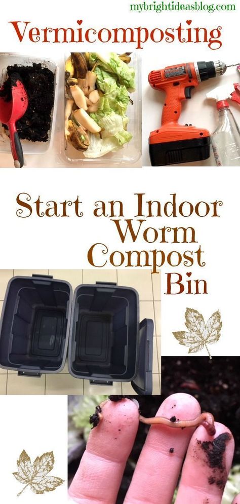 Indoor Composting, Red Worm Composting, Indoor Compost Bin, Worm Farm Diy, Indoor Compost, Worm Beds, Worm Composting Bin, Gardens Vegetable, Red Wiggler Worms