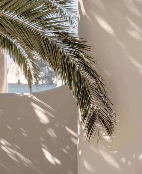 Beige Aesthetic, Summer Wallpaper, Travel Beauty, Beach Aesthetic, Insta Photo, White Aesthetic, Beach Vibe, Green Aesthetic, Aesthetic Backgrounds