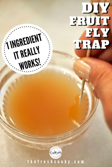 Make your own DIY Fruit Fly Trap that really works! All you need is apple cider vinegar -- grab the all natural homemade recipe via @thefreshcooky | #fruitflies #acv #howto Fruit Fly Trap Apple Cider Vinegar, Fruit Fly Catcher, Homemade Fruit Fly Trap, Fruit Flies In House, Fruit Fly Trap Diy, Gnat Trap, Fruit Fly Traps, Copycat Food, Fruit Fly Trap