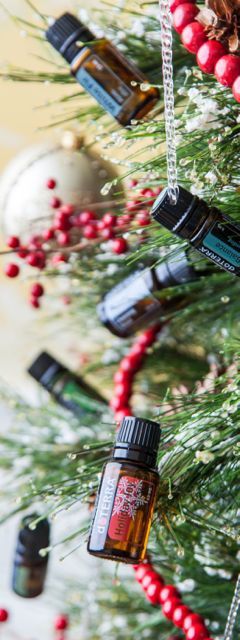 Doterra Christmas Blends, Doterra Christmas Diffuser Blends, Doterra Christmas, Christmas Aromatherapy, Holiday Joy Doterra, Doterra Business Building, Macrobiotic Recipes, Hosting Occasions, Doterra Business