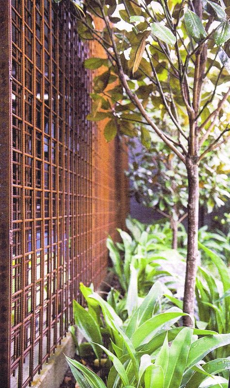 Reinforcing Mesh Garden, Steel Mesh Wall, Metal Trellis Fence, Rusted Metal Fence, Reo Mesh Fence, Steel Mesh Fence, Metal Fence Ideas Steel, Rebar Trellis, Steel Trellis