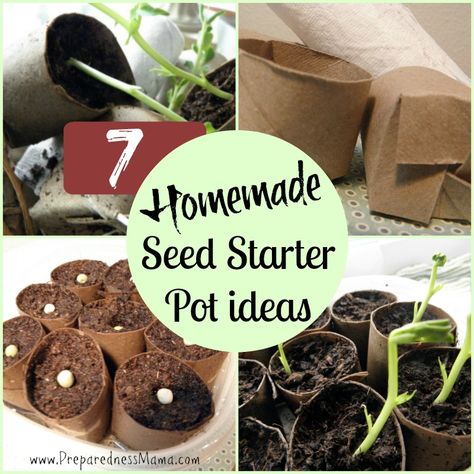 7 Homemade Seed Starter Pot Ideas | PreparednessMama Cheap Plant Pots, Plant Starters, Starter Garden, Seed Starters, Plants And Pots, Seed Pots, Recycle Bin, Seed Starter, Pot Ideas