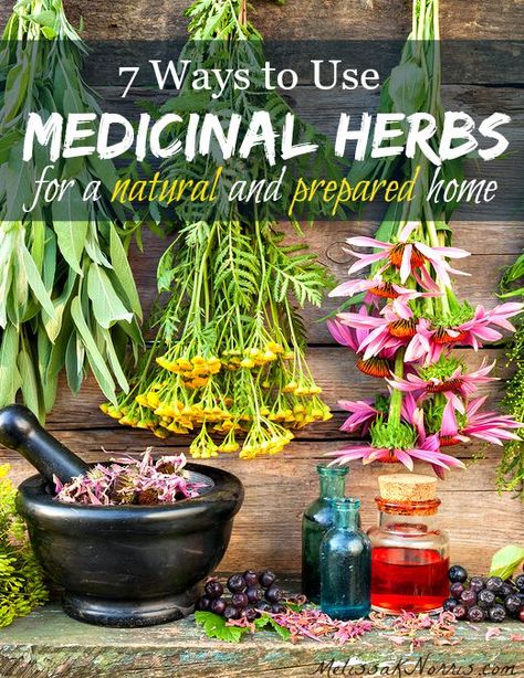 7 ways to use medicinal herbs in your natural, preparedness, and survival medicine chest! Great list of herbs and the ways to prepare them for different ailments. Grab this now so you're ready before you need it! List Of Herbs, Medicinal Herbs Garden, Medical Herbs, Medicine Chest, Natural Healing Remedies, Herbs For Health, Natural Therapy, Healing Herbs, Natural Home Remedies