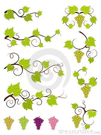 Vine Drawing Simple, Grape Vine Drawing, Grape Graphic, Agriculture Background, Beauty Berry, Vines Design, Flower Stencil Patterns, Vine Drawing, Berry Branch