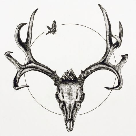 Mule Deer Skull with Butterfly, Ink pen on paper, 11.5x14" - Imgur Deer Skull Drawing, Deer Skull Tattoo, Buck Tattoo, Deer Head Tattoo, Wilderness Tattoo, Elk Tattoo, Antler Tattoo, Deer Skull Tattoos, Skull Tattoo Flowers