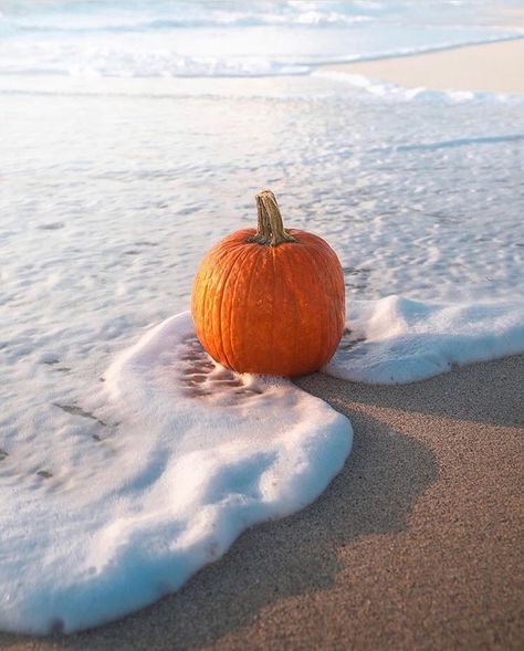 Beach Clouds, Fall Beach, Halloween Stories, Autumn Scenery, Fall Photoshoot, Pumpkin Seasoning, Holiday Pictures, Happy Fall Y'all, Autumn Aesthetic