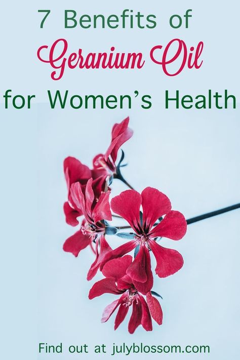 You must be wondering what makes geranium oil particularly good for women’s health. Well, here are some of its amazing benefits: How To Balance Hormones, Adrenal Cortex, Natural Diuretic, Greasy Skin, Low Estrogen, Facial Steaming, Oil Well, Balance Hormones, Geranium Oil