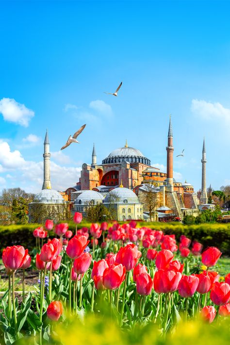 Turkey Beach, Istanbul Tours, Istanbul Turkey Photography, Byzantine Architecture, Turkey Tour, Tulips Garden, Blue Mosque, Pamukkale, Travel Wishlist