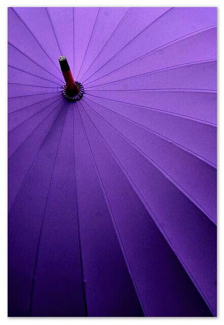 Purple Plum Purple Aesthetic, Purple Rocks, Purple Umbrella, Mood Aesthetic, Orchid Color, Fav Color, Color Board, Pastel Decor, Radiant Orchid