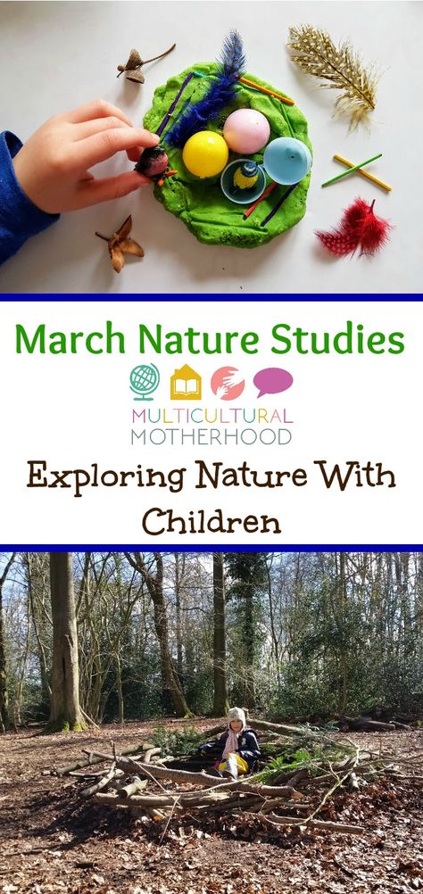 Read about how we followed Exploring Nature With Children curriculum during the month of March. We learned about birds nests, spring ponds. the vernal equinox and garden snails. Spring Nature Crafts Preschool, Spring Equinox Activities For Kids, Vernal Equinox Activities, Spring Forest School Activities, Exploring Nature With Children, March Homeschool Ideas, Snails Preschool, Equinox Celebration, Charlotte Mason Preschool