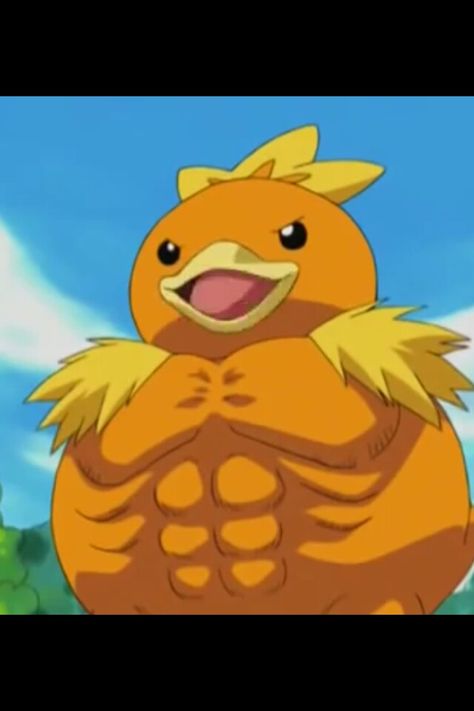 Muscular Torchic Latios Pokemon, Pokemon Tumblr, Pokemon Advanced, Pokemon Tv, Pokemon Starters, Pokemon Gif, Pokémon Black And White, Black Pokemon, Pokemon Cosplay