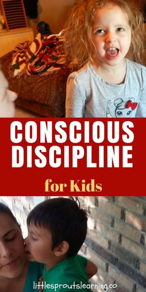 Discipline For Toddlers, Discipline For Kids, Reggio Kindergarten, Bad Behavior Kids, Developmental Therapy, Tot Schooling, Discipline Chart, Dr Becky, Classroom Discipline