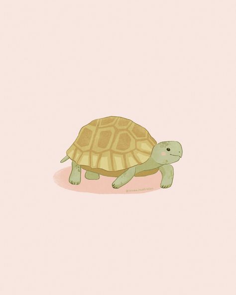 Digital illustration of a tortoise Cute Pet Drawings, Cute Tortoise Drawing, Tortoise Painting, Tortoise Illustration, Tortoise Drawing, Pet Drawings, Turtle Illustration, Cute Tortoise, Beginner Artist