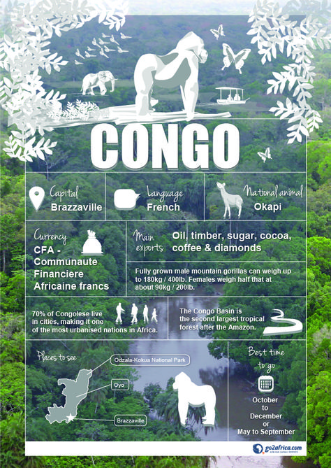 Congo Country information infographic. #Africa #Travel Country Information, Africa Travel Guide, Gorilla Trekking, Travel Infographic, Travel Facts, National Animal, Outdoors Tattoo, Democratic Republic Of The Congo, Travel Design