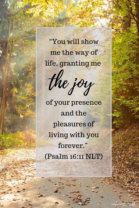 David is the one speaking in this verse, and his heart is glad because he has found true joy in the presence of the Lord. #thankful #joyful #joy #mareedee Joy In The House Of The Lord, Joy In The Lord Scriptures, The Joy Of The Lord Quotes, The Joy Of The Lord Is My Strength, Joy Quotes Bible, Scriptures On Joy, Quotes About Joy, Bible Verses About Joy, Joy Verses