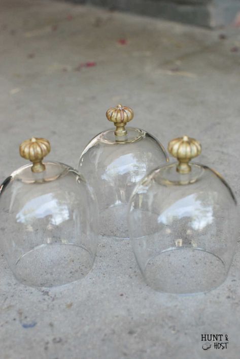 Homemade Mini Cloche - Salvaged Living Glass Cloche Decor, Mini Cloche, Cloche Decor, Glass Cloche, Dollar Tree Diy Crafts, Upcycled Home Decor, Tree Crafts, Glass Vases, Dollar Tree Crafts